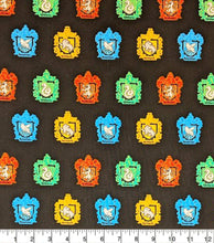 Load image into Gallery viewer, Harry Potter Face Mask