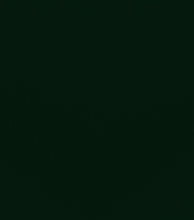 Load image into Gallery viewer, Solid Face Mask